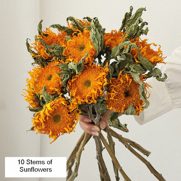 Natural Decorations, A Bunch of Sunflowers, Flower Arrangement, Handmade Artificial Flowers for Home Decor, Natural Dried Sunflower Stems-LargePaintingArt.com