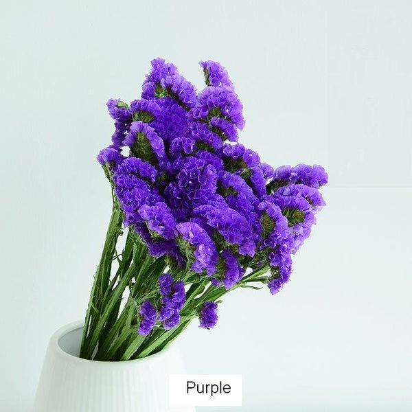 Dried Statices Flower, Dried Flowers, Flower Bunches, Dried Floral-LargePaintingArt.com