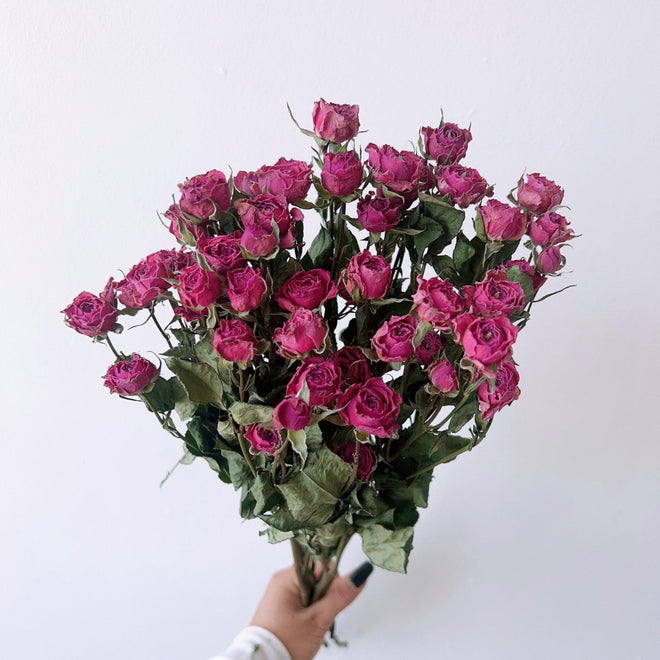 Natural Dried Flowers