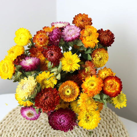 Natural Dried Daisy Flowers, Flower Arrangements, Natural Decorations, A Bunch of Dried Daisy Flowers, Handmade Artificial Flowers for Home Decor-LargePaintingArt.com
