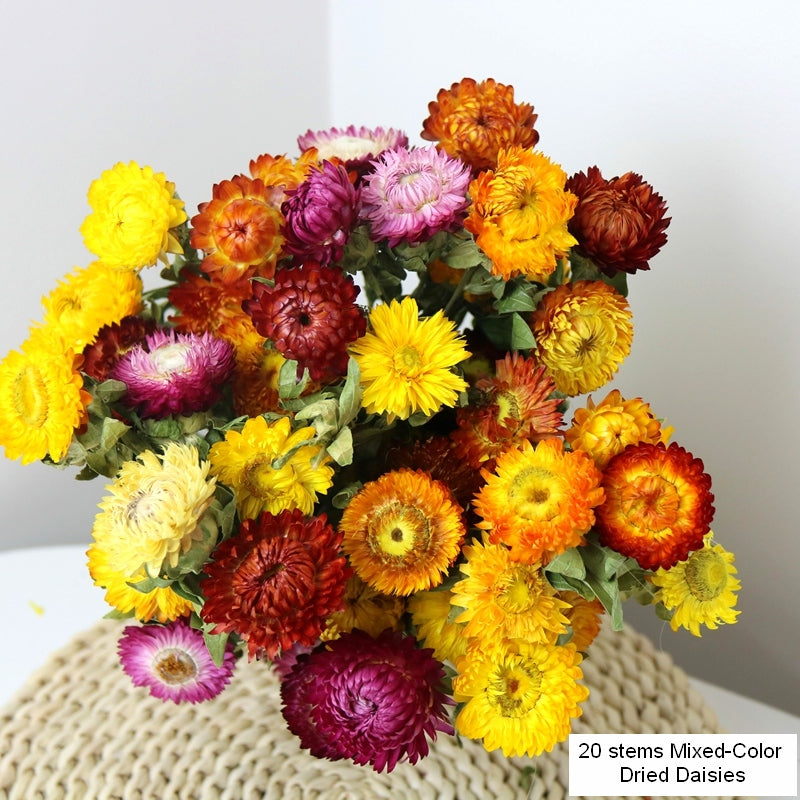 Natural Dried Daisy Flowers, Flower Arrangements, Natural Decorations, A Bunch of Dried Daisy Flowers, Handmade Artificial Flowers for Home Decor-LargePaintingArt.com