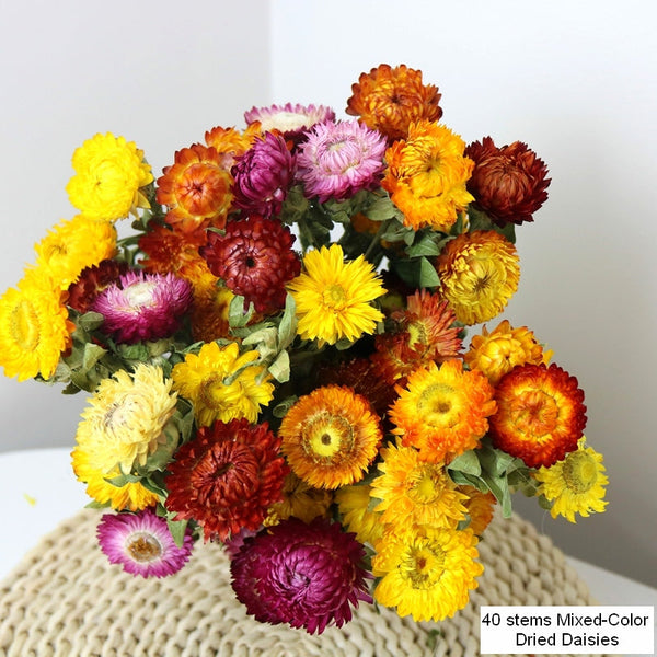 Natural Dried Daisy Flowers, Flower Arrangements, Natural Decorations, A Bunch of Dried Daisy Flowers, Handmade Artificial Flowers for Home Decor-LargePaintingArt.com
