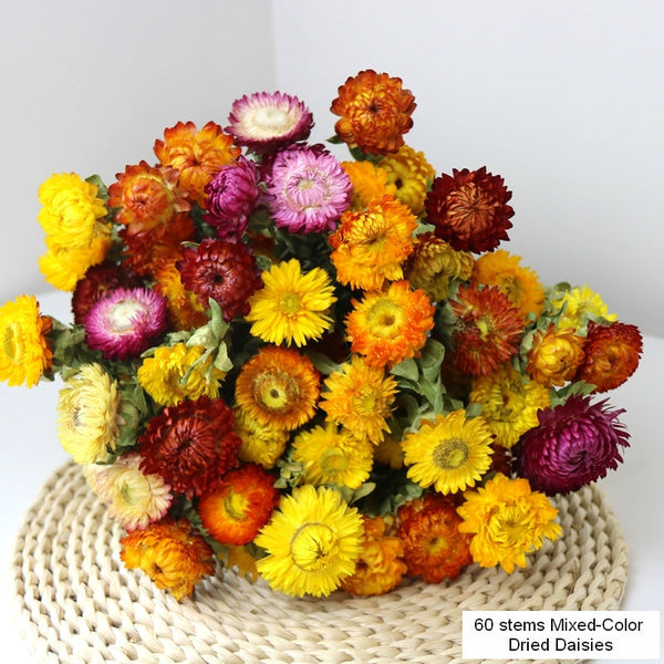 Natural Dried Daisy Flowers, Flower Arrangements, Natural Decorations, A Bunch of Dried Daisy Flowers, Handmade Artificial Flowers for Home Decor-LargePaintingArt.com