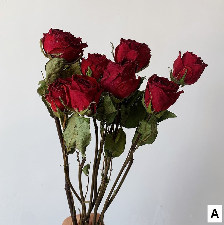 Dried Rose Floral Bouquet, Dried Rose Flowers, Natural Dried Rose Flower Bunches, A Bunch Dried Rose Flowers, Red Yellow Purple Dried Rose Flowers-LargePaintingArt.com