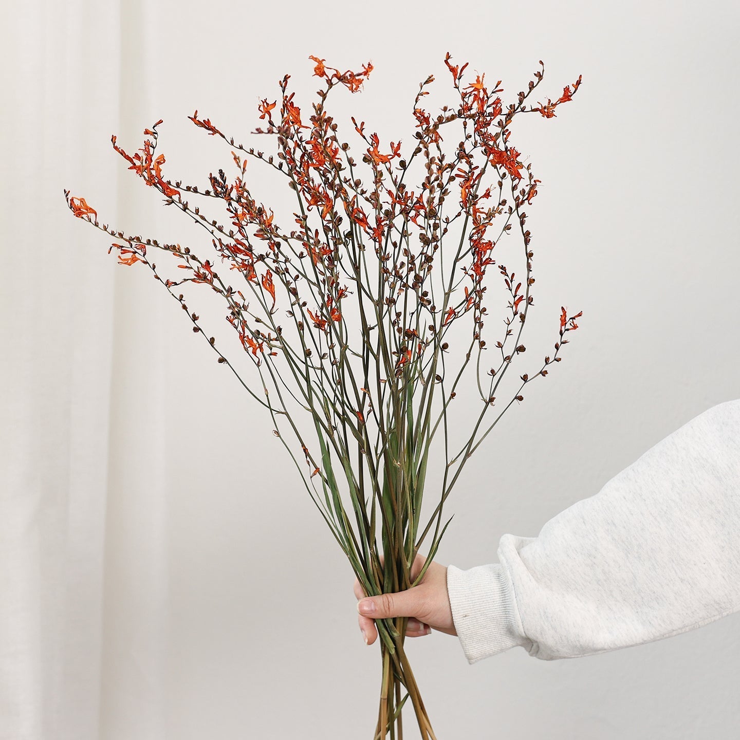 Dried Fire Orchid Bouquet, Natural Decorations, Flower Arrangement, Handmade Artificial Flower, Natural Dried Flowers-LargePaintingArt.com