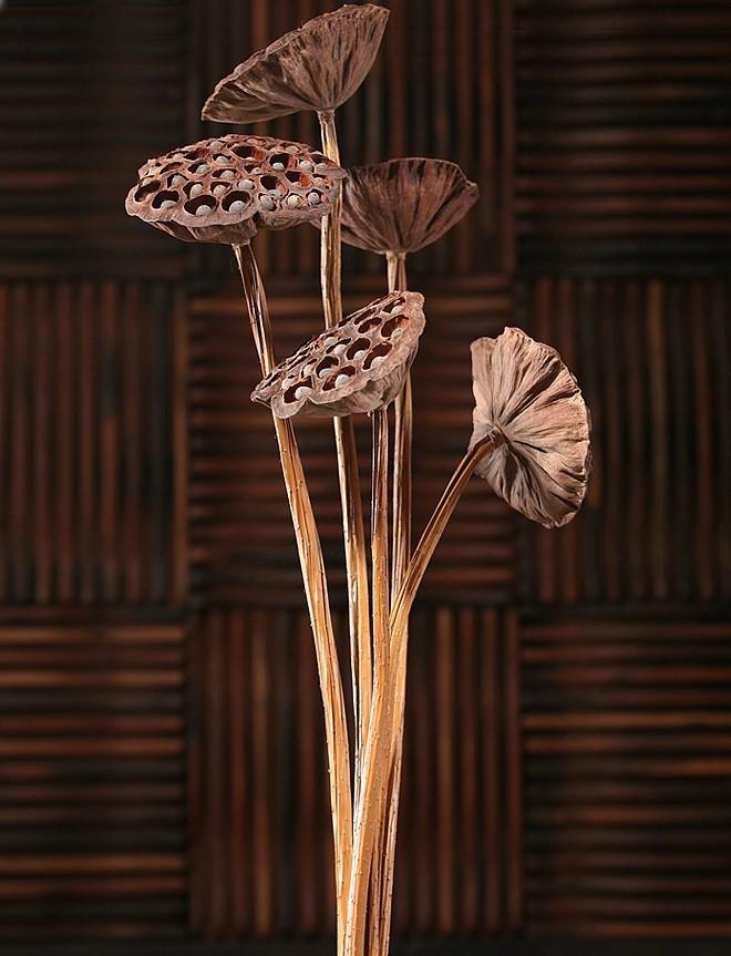10 Stems Lotus Pods, Dried Lotus Pods, Natural Decor, Rustic Decor, Lotus Flower Arrangement-LargePaintingArt.com