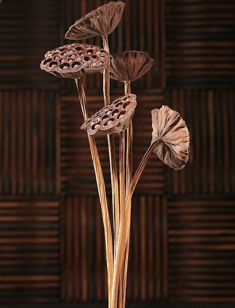 Lotus Flower Arrangement, 10 Stems Lotus Pods, Dried Lotus Pods, Natural Decor, Rustic Decor-LargePaintingArt.com