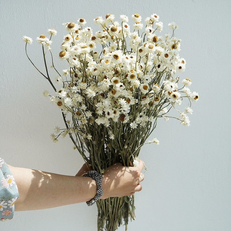 Flower Arrangements, Natural Dried Daisy Flower Bouquet, Natural Dried Daisy Flowers, A Bunch of Dried Daisy Flowers, Handmade Artificial Flowers for Home Decor-LargePaintingArt.com