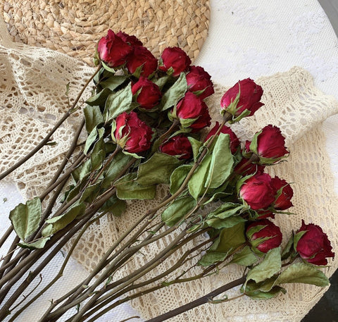 Natural Dried Rose Flower Bunches, Dried Rose Floral Bouquet, Dried Flowers, A Bunch Dried Rose Flowers, Red Yellow Purple Dried Rose Flowers-LargePaintingArt.com