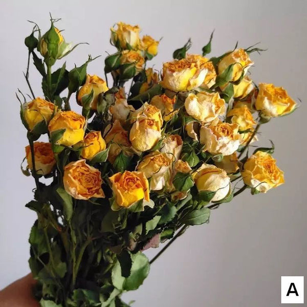 A Bouquet of Dried Rose Flowers, Dried Rose Flower Bouquet, Natural Dried Rose Flower Bunches, A Bunch Dried Rose Flowers, Red Yellow Purple Dried Rose Floral-LargePaintingArt.com