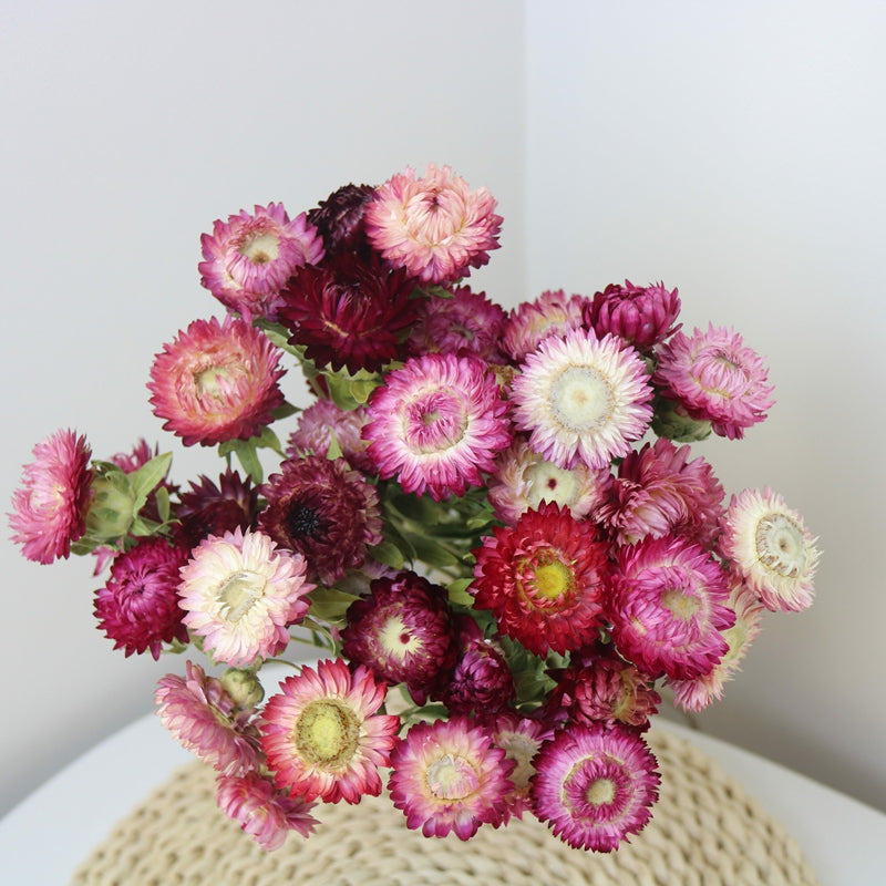 Flower Arrangements, Natural Dried Purple Daisy Flowers, Natural Decorations, A Bunch of Dried Daisy Flowers, Handmade Artificial Flowers for Home Decor-LargePaintingArt.com