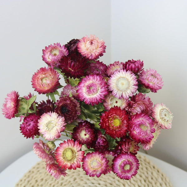Flower Arrangements, Natural Dried Purple Daisy Flowers, Natural Decorations, A Bunch of Dried Daisy Flowers, Handmade Artificial Flowers for Home Decor-LargePaintingArt.com