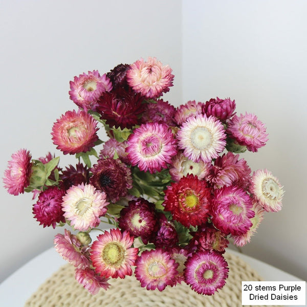 Flower Arrangements, Natural Dried Purple Daisy Flowers, Natural Decorations, A Bunch of Dried Daisy Flowers, Handmade Artificial Flowers for Home Decor-LargePaintingArt.com
