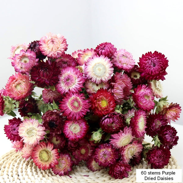 Flower Arrangements, Natural Dried Purple Daisy Flowers, Natural Decorations, A Bunch of Dried Daisy Flowers, Handmade Artificial Flowers for Home Decor-LargePaintingArt.com