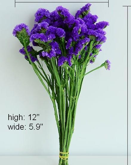 Dried Statices Flower, Dried Flowers, Flower Bunches, Dried Floral-LargePaintingArt.com