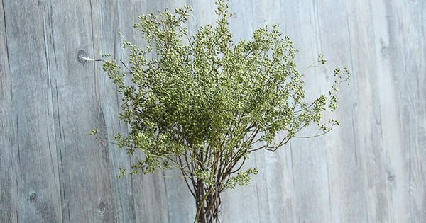 Dried Seek, Dried Flowers, Botanical Home Decor, Seed Stalks. Natural Greenery-LargePaintingArt.com