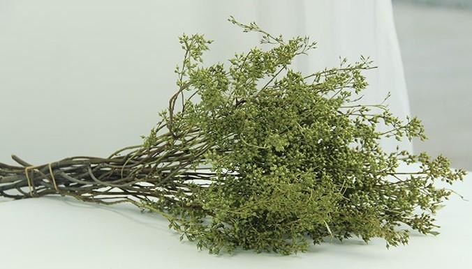 Dried Seek, Dried Flowers, Botanical Home Decor, Seed Stalks. Natural Greenery-LargePaintingArt.com