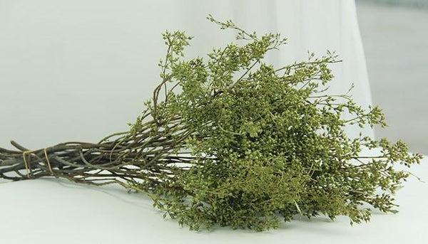 Dried Seek, Dried Flowers, Botanical Home Decor, Seed Stalks. Natural Greenery-LargePaintingArt.com
