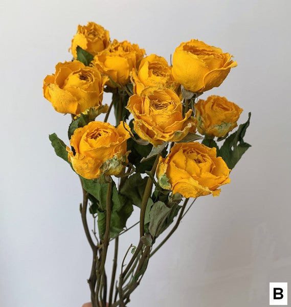 Dried Rose Floral Bouquet, Dried Rose Flowers, Natural Dried Rose Flower Bunches, A Bunch Dried Rose Flowers, Red Yellow Purple Dried Rose Flowers-LargePaintingArt.com