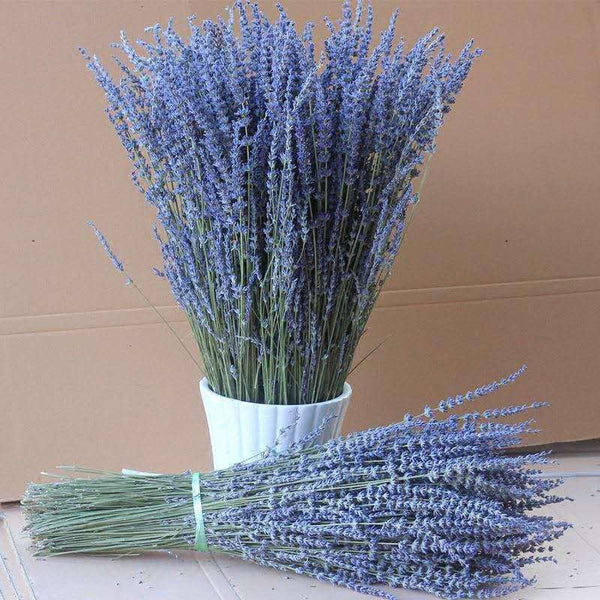 Flower Arrangements, Natural Dried Lavender Flower Bouquet, Natural Dried Lavender Flowers, A Bunch of Dried Lavender Flowers, Handmade Artificial Flowers for Home Decor-LargePaintingArt.com
