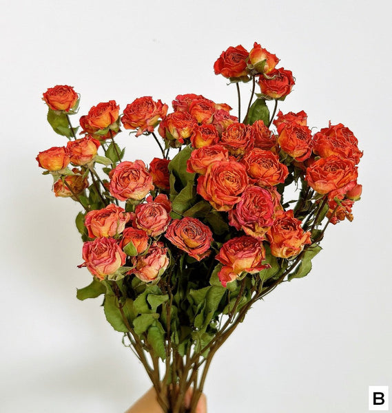 A Bouquet of Dried Rose Flowers, Dried Rose Flower Bouquet, Natural Dried Rose Flower Bunches, A Bunch Dried Rose Flowers, Red Yellow Purple Dried Rose Floral-LargePaintingArt.com