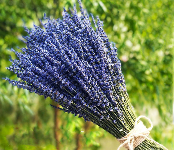 Flower Arrangements, Natural Dried Lavender Flower Bouquet, Natural Dried Lavender Flowers, A Bunch of Dried Lavender Flowers, Handmade Artificial Flowers for Home Decor-LargePaintingArt.com