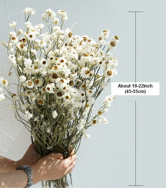 Flower Arrangements, Natural Dried Daisy Flower Bouquet, Natural Dried Daisy Flowers, A Bunch of Dried Daisy Flowers, Handmade Artificial Flowers for Home Decor-LargePaintingArt.com