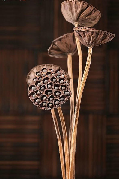 10 Stems Lotus Pods, Dried Lotus Pods, Natural Decor, Rustic Decor, Lotus Flower Arrangement-LargePaintingArt.com