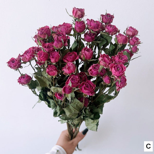 Dried Rose Flower Bouquet, A Bouquet of Dried Rose Flowers, Natural Dried Rose Flower Bunches, A Bunch Dried Rose Flowers, Red Yellow Purple Dried Rose Floral-LargePaintingArt.com
