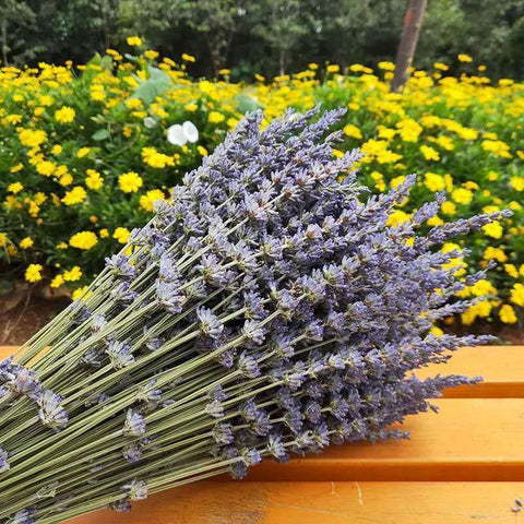 Natural Dried Lavender Flower Bouquet, Natural Dried Lavender Flowers, A Bunch of Dried Lavender Flowers, Handmade Artificial Flowers for Home Decor, Flower Arrangements-LargePaintingArt.com
