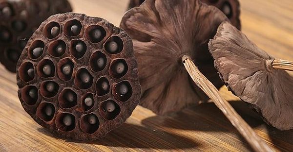 Lotus Flower Arrangement, 10 Stems Lotus Pods, Dried Lotus Pods, Natural Decor, Rustic Decor-LargePaintingArt.com