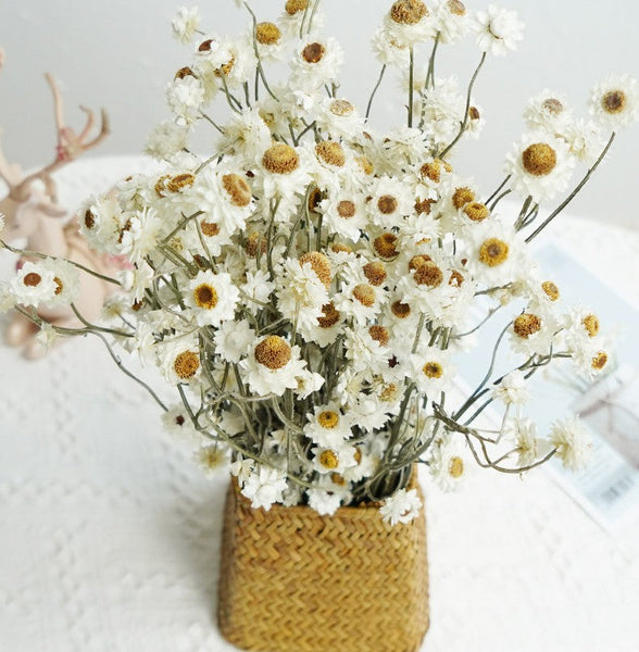 Flower Arrangements, Natural Dried Daisy Flower Bouquet, Natural Dried Daisy Flowers, A Bunch of Dried Daisy Flowers, Handmade Artificial Flowers for Home Decor-LargePaintingArt.com