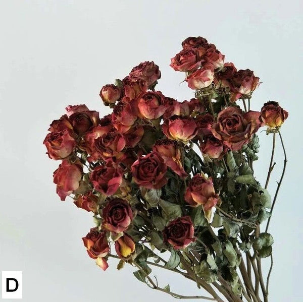 Dried Rose Flower Bouquet, A Bouquet of Dried Rose Flowers, Natural Dried Rose Flower Bunches, A Bunch Dried Rose Flowers, Red Yellow Purple Dried Rose Floral-LargePaintingArt.com