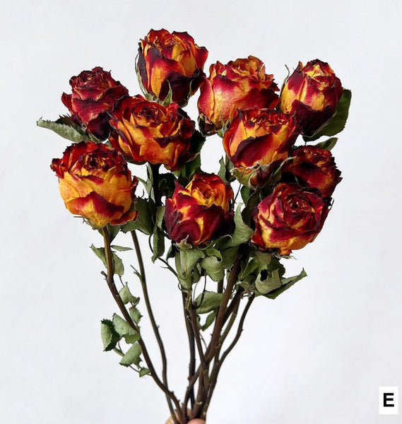 Dried Rose Floral Bouquet, Dried Rose Flowers, Natural Dried Rose Flower Bunches, A Bunch Dried Rose Flowers, Red Yellow Purple Dried Rose Flowers-LargePaintingArt.com