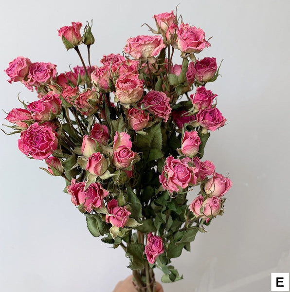 Dried Rose Flower Bouquet, A Bouquet of Dried Rose Flowers, Natural Dried Rose Flower Bunches, A Bunch Dried Rose Flowers, Red Yellow Purple Dried Rose Floral-LargePaintingArt.com