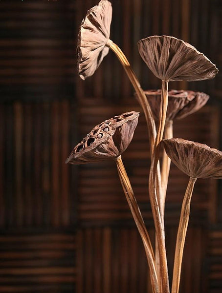 10 Stems Lotus Pods, Dried Lotus Pods, Natural Decor, Rustic Decor, Lotus Flower Arrangement-LargePaintingArt.com