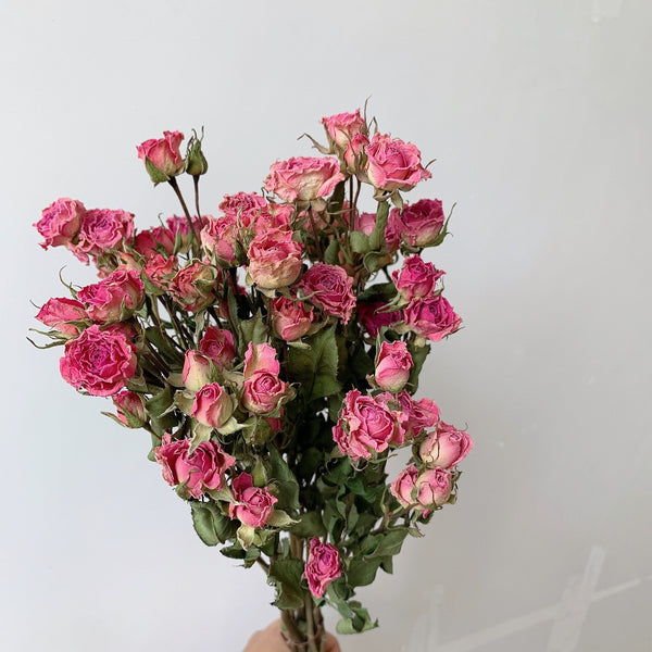 Red Yellow Purple Dried Rose Floral, Dried Rose Flower Bouquet, A Bouquet of Dried Rose Flowers, Natural Dried Rose Flower Bunches, A Bunch Dried Rose Flowers-LargePaintingArt.com