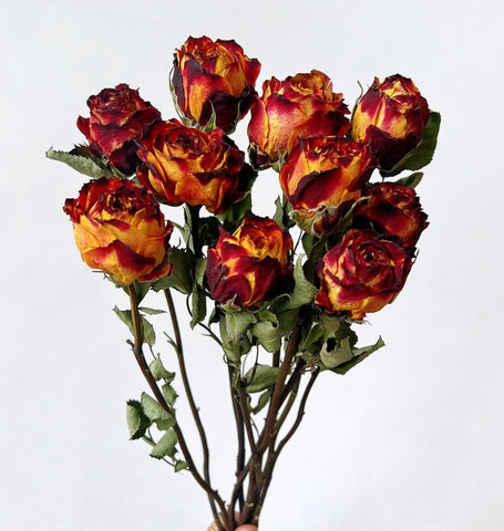 Rose Floral Bouquet, Dried Rose Flowers, Natural Dried Rose Flower Bunches, A Bunch Dried Rose Flowers, Red Yellow Purple Dried Rose Flowers-LargePaintingArt.com