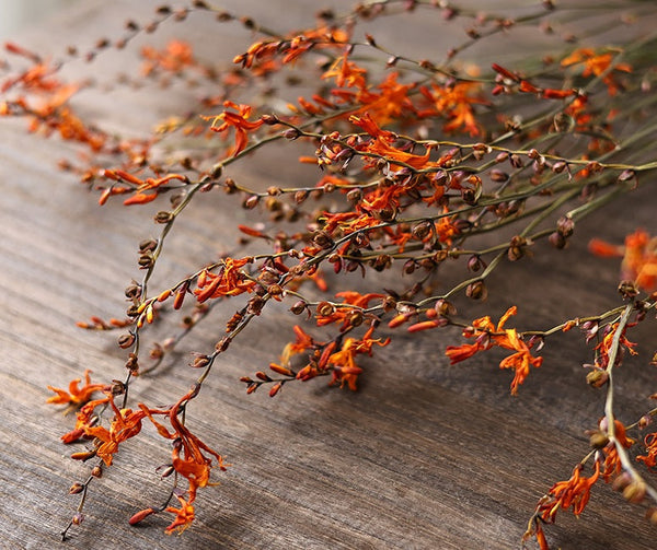 Dried Fire Orchid Bouquet, Natural Decorations, Flower Arrangement, Handmade Artificial Flower, Natural Dried Flowers-LargePaintingArt.com