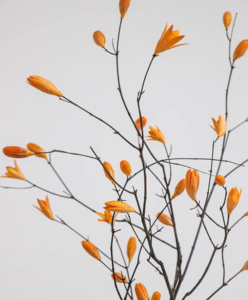 Dried Magnolia Branch, Magnolia Long Twigs, Natural Decorations, Flower Arrangement, Handmade Artificial Flower, Natural Dried Branches-LargePaintingArt.com