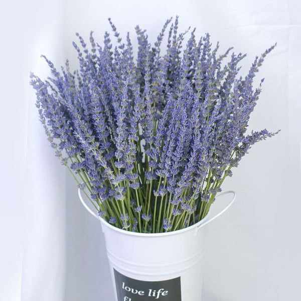 Flower Arrangements, Natural Dried Lavender Flower Bouquet, Natural Dried Lavender Flowers, A Bunch of Dried Lavender Flowers, Handmade Artificial Flowers for Home Decor-LargePaintingArt.com