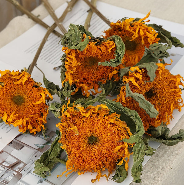 Natural Decorations, A Bunch of Sunflowers, Flower Arrangement, Handmade Artificial Flowers for Home Decor, Natural Dried Sunflower Stems-LargePaintingArt.com