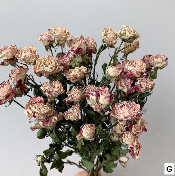 Dried Rose Flower Bouquet, A Bouquet of Dried Rose Flowers, Natural Dried Rose Flower Bunches, A Bunch Dried Rose Flowers, Red Yellow Purple Dried Rose Floral-LargePaintingArt.com