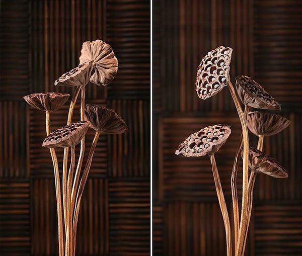 10 Stems Lotus Pods, Dried Lotus Pods, Natural Decor, Rustic Decor, Lotus Flower Arrangement-LargePaintingArt.com