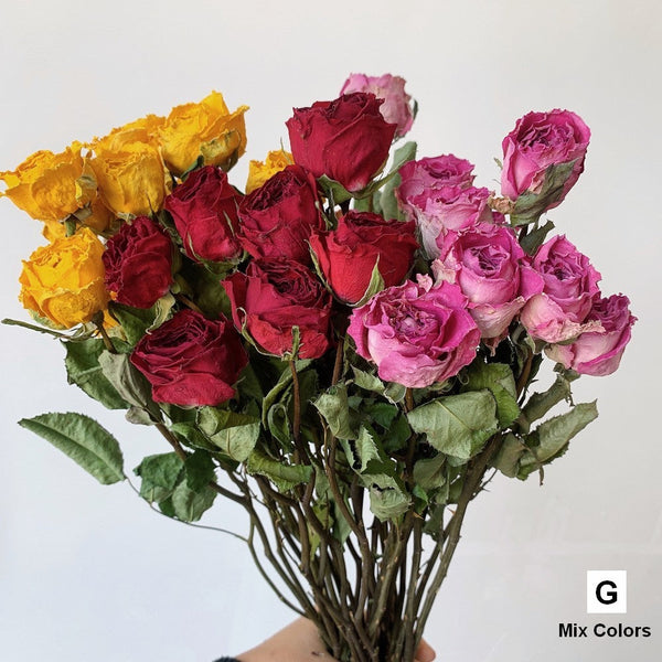Dried Rose Floral Bouquet, Dried Rose Flowers, Natural Dried Rose Flower Bunches, A Bunch Dried Rose Flowers, Red Yellow Purple Dried Rose Flowers-LargePaintingArt.com