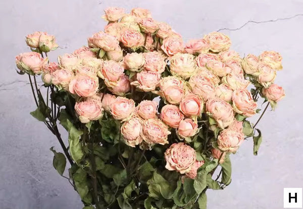 Dried Rose Flower Bouquet, A Bouquet of Dried Rose Flowers, Natural Dried Rose Flower Bunches, A Bunch Dried Rose Flowers, Red Yellow Purple Dried Rose Floral-LargePaintingArt.com