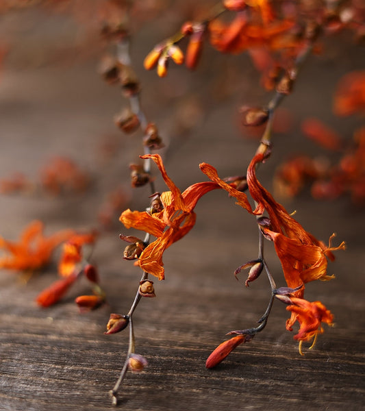 Dried Fire Orchid Bouquet, Natural Decorations, Flower Arrangement, Handmade Artificial Flower, Natural Dried Flowers-LargePaintingArt.com