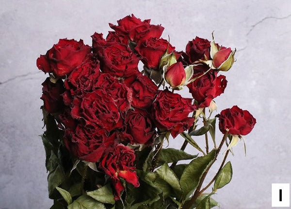Dried Rose Flower Bouquet, A Bouquet of Dried Rose Flowers, Natural Dried Rose Flower Bunches, A Bunch Dried Rose Flowers, Red Yellow Purple Dried Rose Floral-LargePaintingArt.com