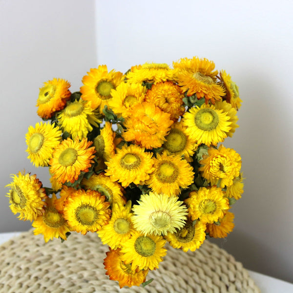 Natural Decorations, A Bunch of Dried Daisy Flowers, Flower Arrangements, Natural Dried Yellow Daisy Flowers, Handmade Artificial Flowers for Home Decor-LargePaintingArt.com