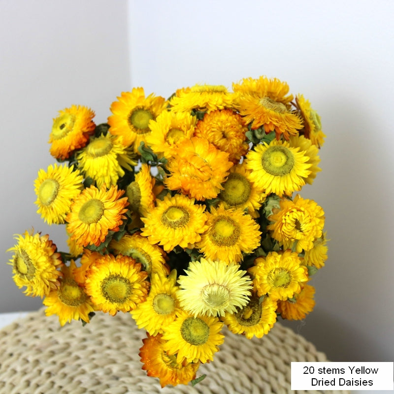Natural Decorations, A Bunch of Dried Daisy Flowers, Flower Arrangements, Natural Dried Yellow Daisy Flowers, Handmade Artificial Flowers for Home Decor-LargePaintingArt.com